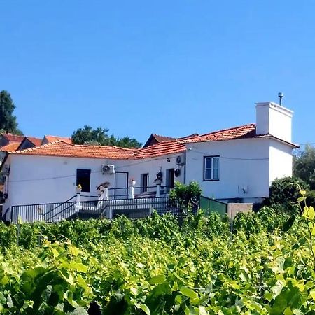 Villa Casa Ceci Douro à Cidadelhe  Extérieur photo